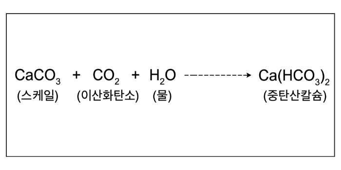 스케일 제거 원리